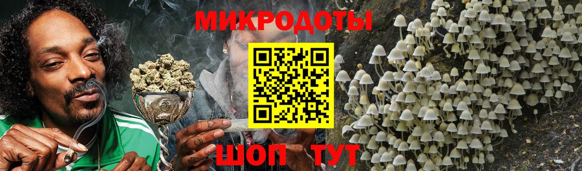 Галлюциногенные грибы Cubensis  цена   Ставрополь  Вход с VPN 