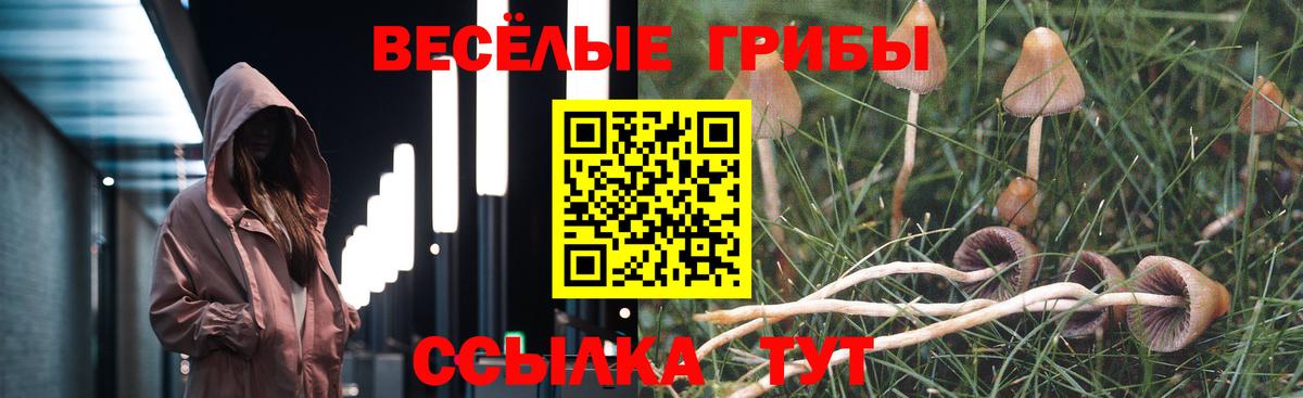 Псилоцибиновые грибы прущие грибы Ставрополь